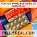 Kamagra 100Mg Examen De La Gelée Orale new01